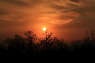 日落时分的自然美景