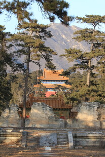 古建掩映于山林间