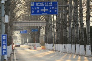 冬季公路指示牌景观