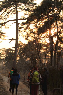 夕阳下的森林徒步队伍