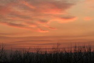 夕阳下的绚烂天空与草木