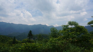 青山绿树间的壮美景致