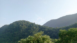 青山绿树间的秀丽风光