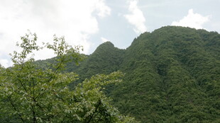 青山绿树间的秀丽景致