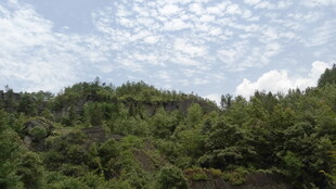 山林绿意 蓝天白云的景致