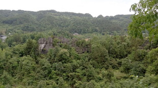 山林葱郁的自然景致