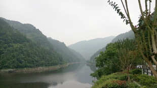 青山绿水间的宁静河岸