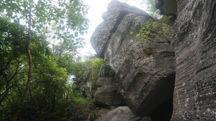 山林间的嶙峋岩石