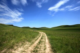 草原上的蜿蜒小路