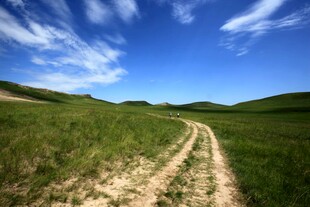 草原上的蜿蜒小路