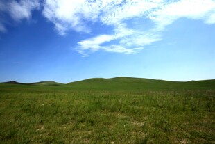 广袤草原蓝天美景