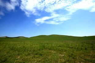广袤草原 蓝天白云美景