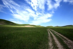 草原上的蜿蜒车辙之路