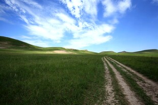 草原上的蜿蜒小路