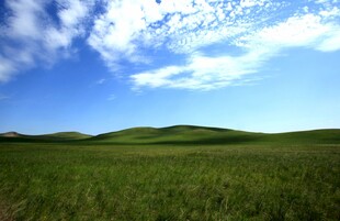 广袤草原 蓝天白云美景