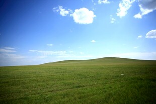广袤草原 蓝天白云美景