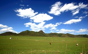 草原风光 蓝天白云与山丘