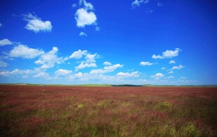 广阔原野上的蓝天白云