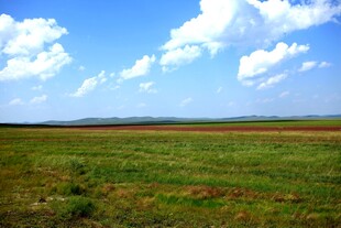 广阔草原蓝天白云美景