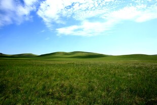 广袤草原 蓝天白云美景