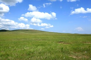 广袤草原 蓝天白云美景