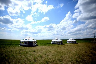 草原上的三辆车