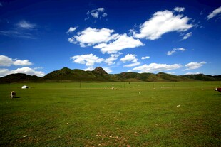 草原蓝天美景