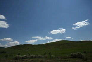 蓝天绿地间的悠然景致