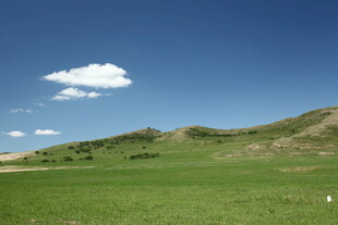 广袤草原蓝天相伴