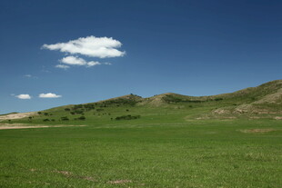 广袤草原与蓝天相映成趣