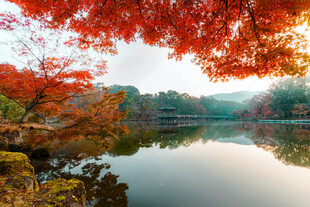 秋日湖畔红叶美景