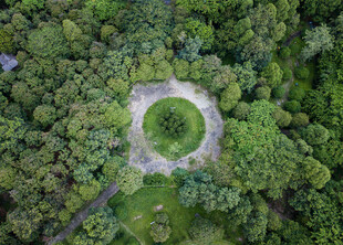 森林中的圆形开阔地