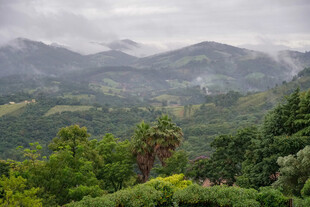 山间云雾缭绕的翠绿景色