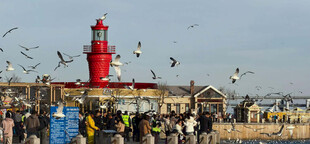 海边灯塔下的热闹场景