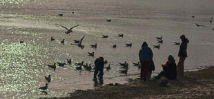海边人群与飞翔海鸟