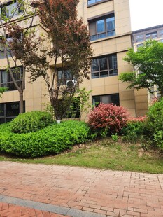 小区内的绿化建筑景观