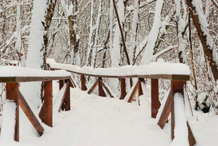 雪覆木桥的冬日静谧景致