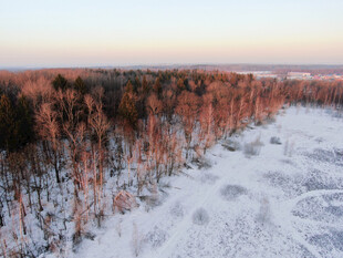 冬日雪林河畔美丽风光
