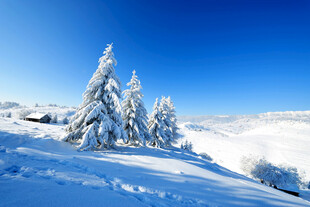 冬日雪覆山林美景