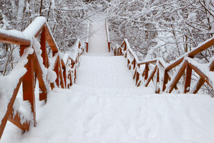 雪覆木梯的冬日美景