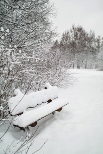 雪覆长椅的静谧冬日景象