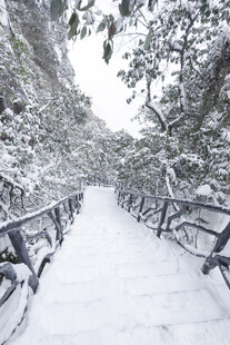 雪覆林间步道美景