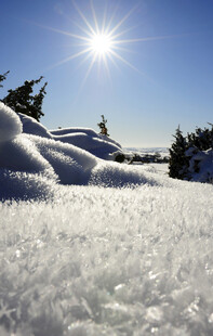 冬日雪景下的耀眼阳光