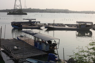 湛江江边停泊的船只与码头