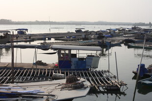 湛江宁静港湾中的停泊船只