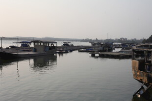 湛江宁静港湾中的停泊船只