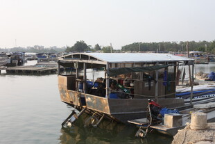 湛江水上人家的独特船只