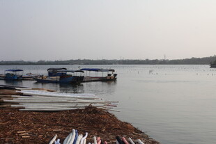 湛江湖畔停泊船只的宁静景象