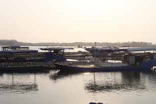 湛江宁静港湾中的停泊船只