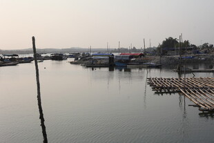 湛江宁静水乡的水上养殖场景